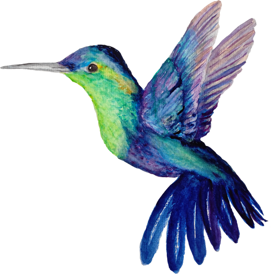 Blue Watercolor Bird