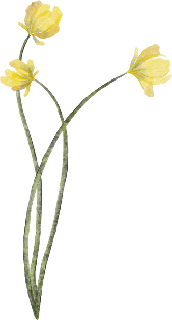 Yellow Watercolor Flower