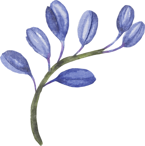 Blue Watercolor Flower