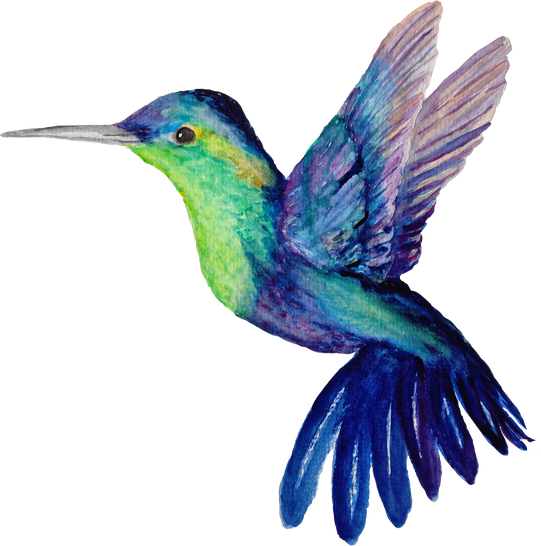 Blue Watercolor Bird