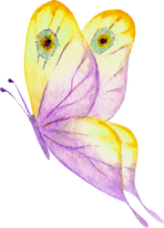 Watercolor multicolor butterfly