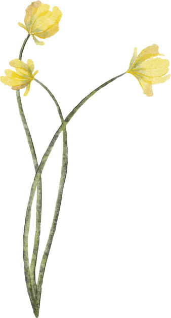 Yellow Watercolor Flower