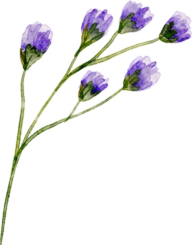 Blue violet watercolor flower branch