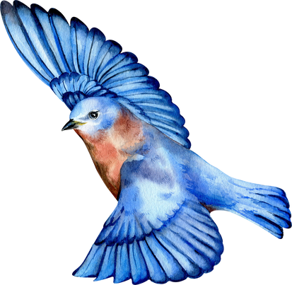Watercolor Bird