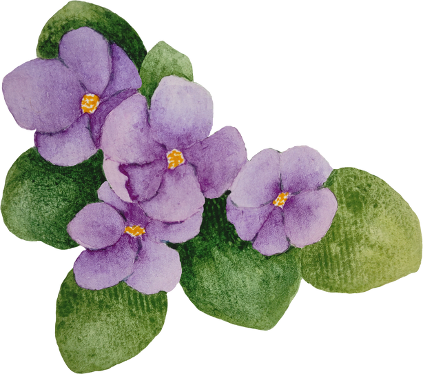 Watercolor Purple Violet Flowers