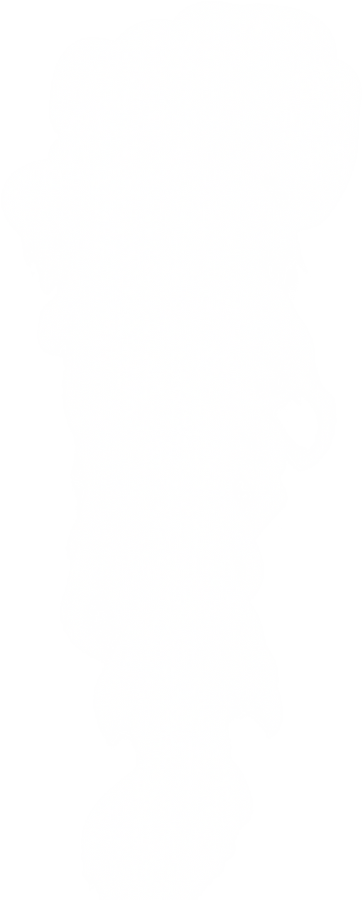 SMOKE COLLECTION